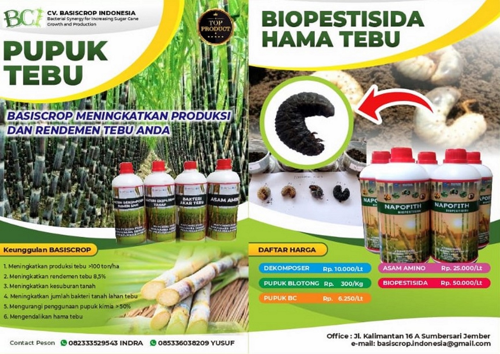 gambar basiscrop